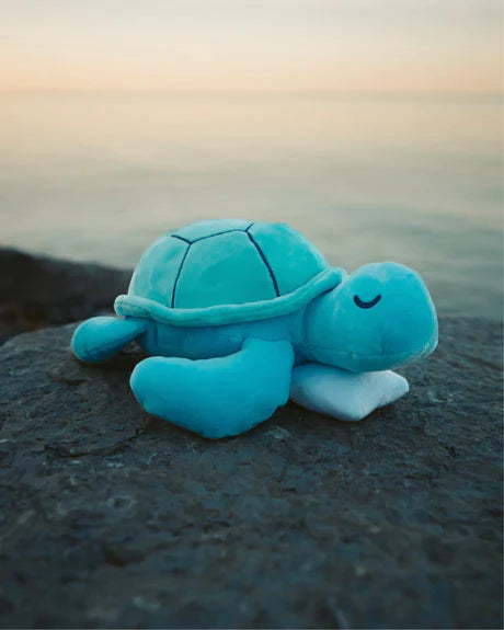 Clave's-Legendary Sea Turtle Plushie!